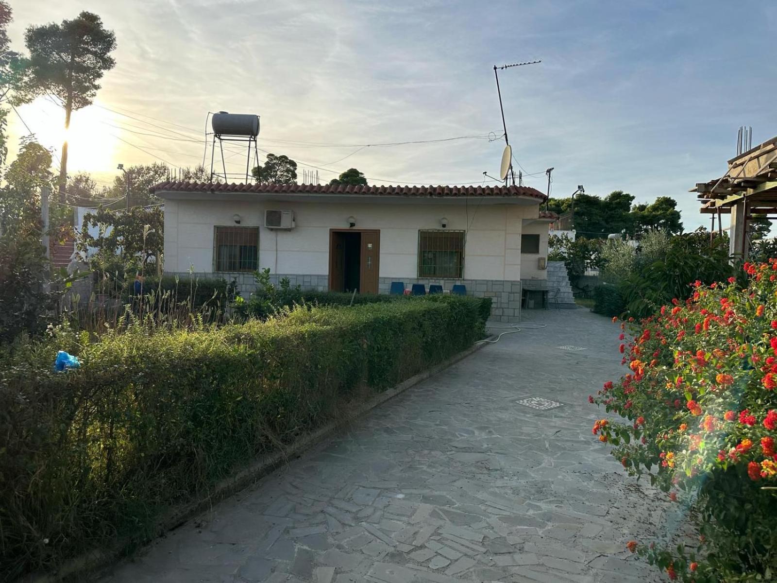Gigi's House *